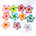 Hot Selling Printed Handmade Foam Plumeria Hair Pick